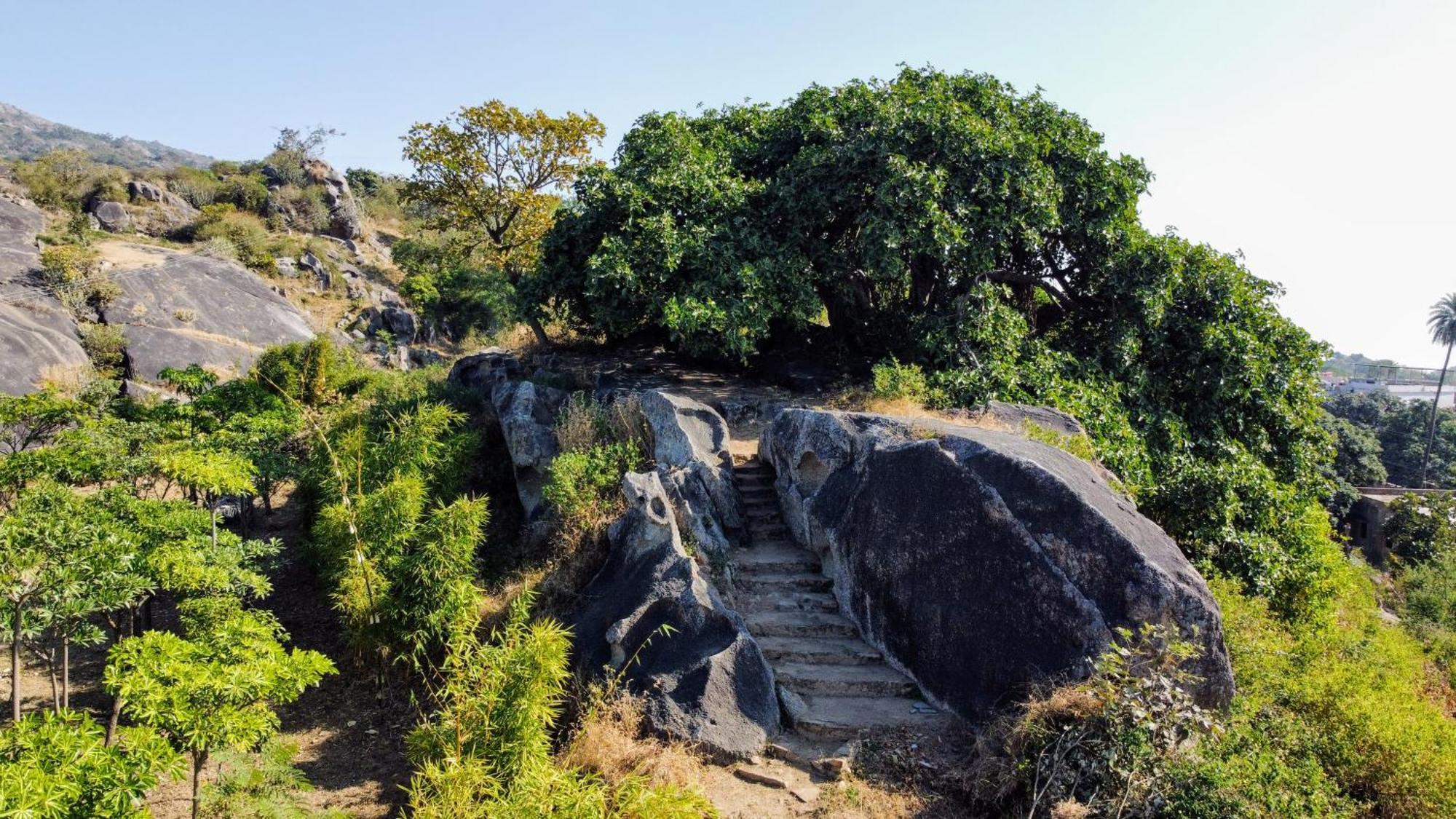 7Bhk Hill Villa Mount Abu Dış mekan fotoğraf
